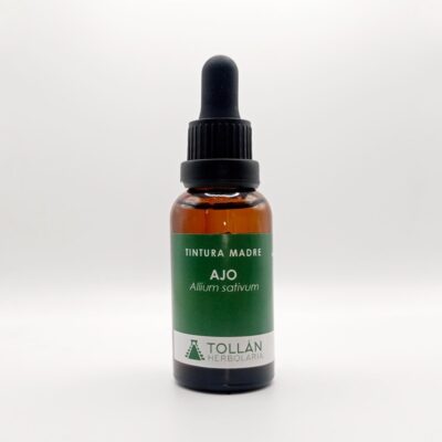 Ajo planta medicinal