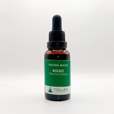 Boldo planta medicinal