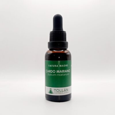 Cardo mariano planta medicinal