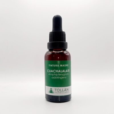 Cuachalalate (Amphipterygium adstringens) Tintura Madre