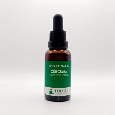 Cúrcuma planta medicinal