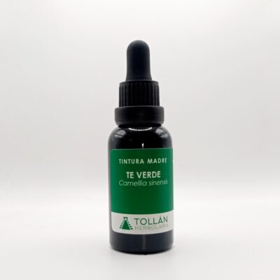 Té Verde (Camellia sinensis) Tintura Madre