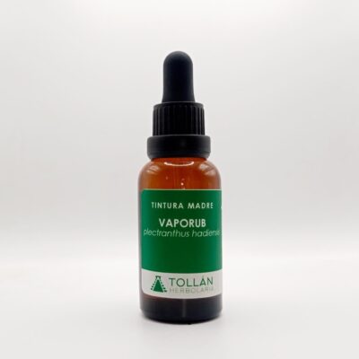 Vaporub (Plectranthus hadiensis) Tintura Madre