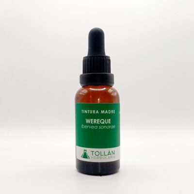 Wereque (Ibervea sonorae) Tintura Madre