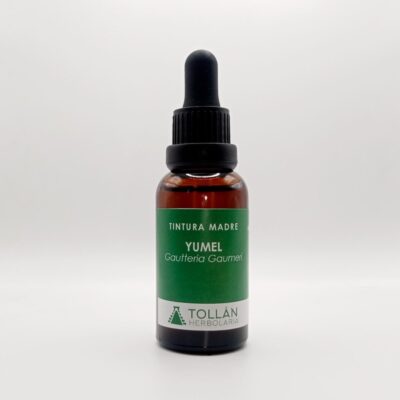 Yumel (Gautteria Gaumeri) Tintura Madre