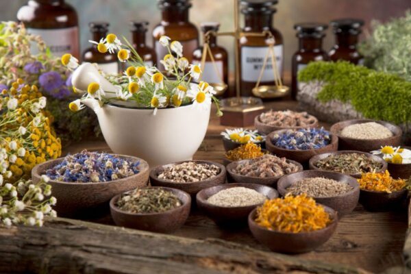 Plantas Medicinales - Tollán Herbolaria