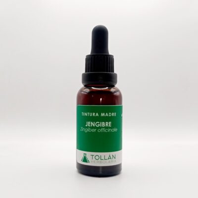 Jengibre (Zingiber officinale) Tintura Madre