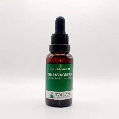 Tumbavaquero (Convolvulus sinuatus) Tintura Madre