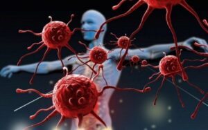 plantas para el siste inmunologico