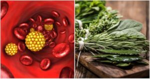 plantas para el colesterol