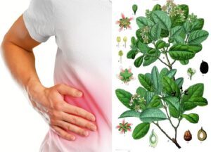 desintoxicar hígado