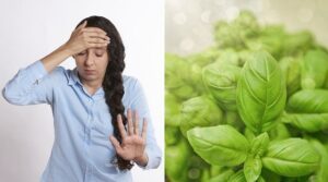 aliviar migraña con plantas medicinales