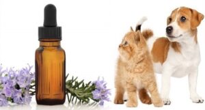 flores de bach para mascotas