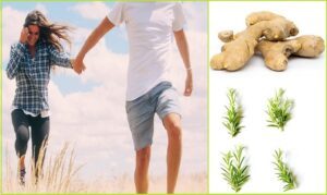 plantas medicinales para el cansancio