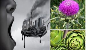 eliminar metales pesados