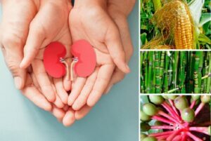 como limpiar los riñones