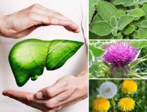 limpiar el higado de forma natural