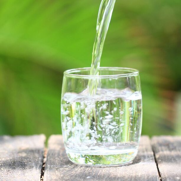 agua para limpiar riñones 