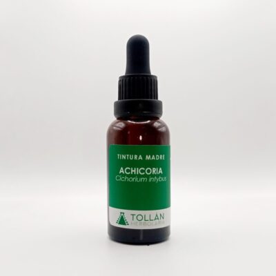 Achicoria planta medicinal