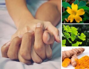 afrodisiacos naturales