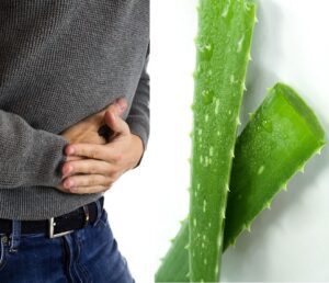 plantas medicinales para gastritis