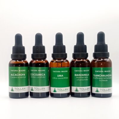 Kit Bienestar Digestivo · Rutina Herbolaria