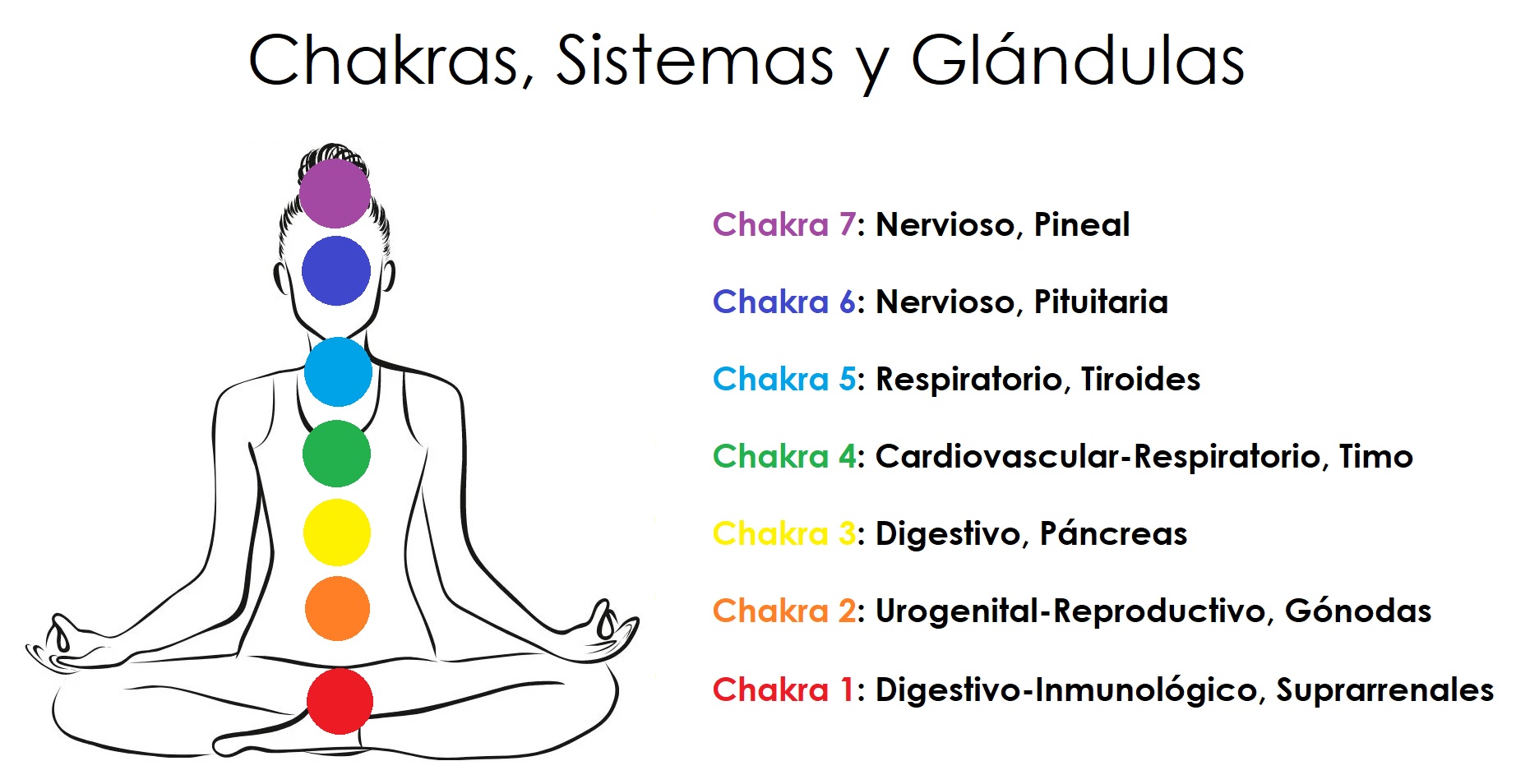 Qué Son Las 7 Chakras Del Cuerpo Humano Y Cómo Desbloquearlas – GGMNP