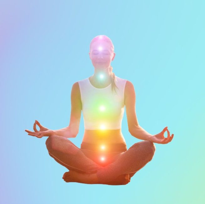 chakras y plantas medicinales