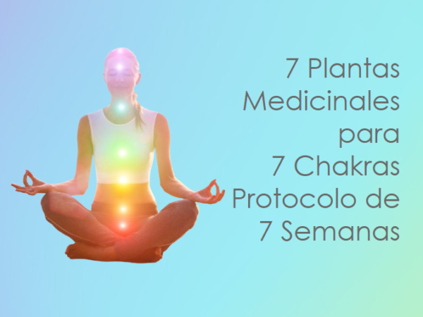 alinear chakras con plantas medicinales