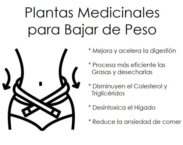 perder peso con plantas medicinales