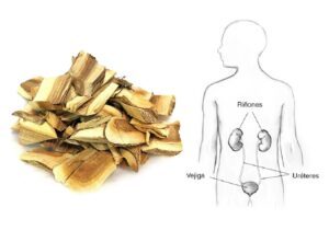 beneficios del palo azul