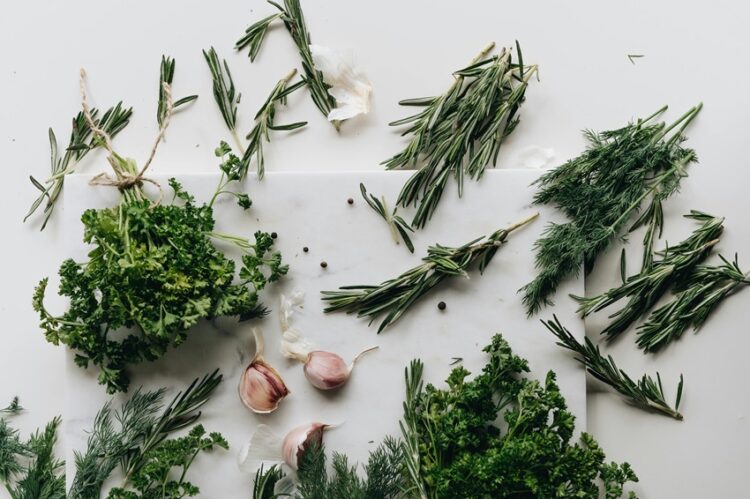 Qué es la herbolaria