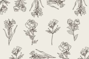 25 Plantas Medicinales para cada propósito