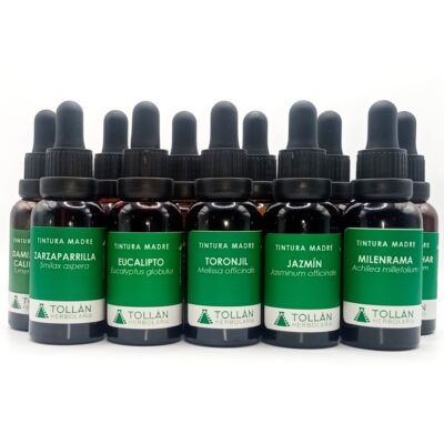 Kit de 25 Tinturas Madre