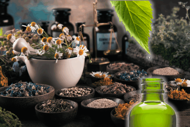 Curso gratis de herbolaria