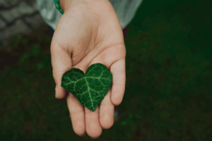 Prevención. Medicina natural