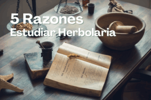 Estudiar Herbolaria