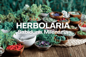 Herbolaria milenaria