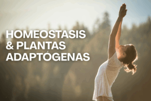 Homeostasis y adaptógenos