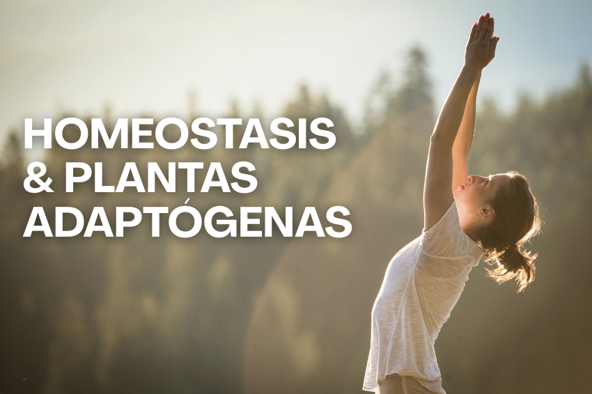 Homeostasis y adaptógenos