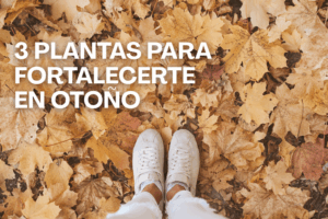 Sistema inmune otoño