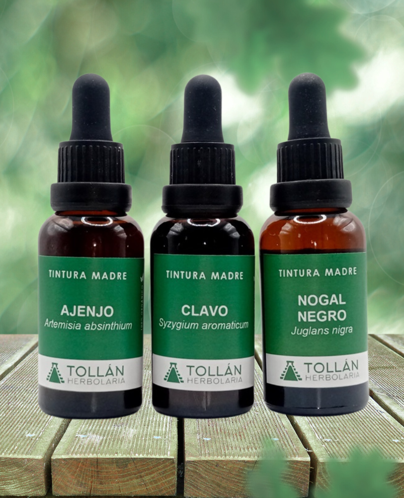 Hulda clark desparasitación